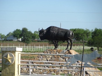 (Foto: Facebook/ vía Univision)