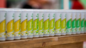 Para quienes busquen opciones sin