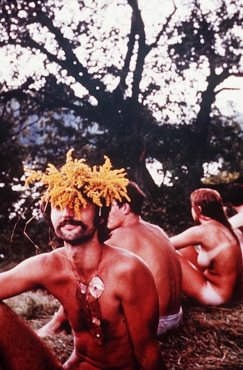 Contrataron a un catering sin