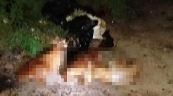 Descuartizada en Acolman