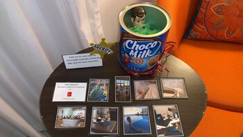 Así le devolvieron su preciado