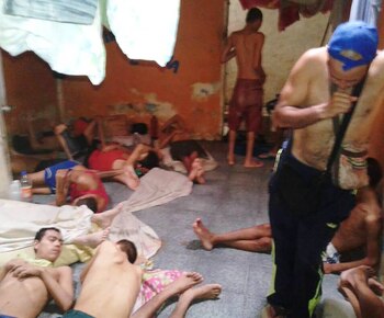 También proliferan la sarna o