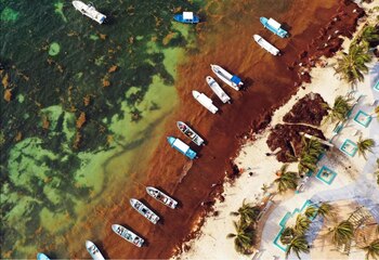 Esta vista captada por un