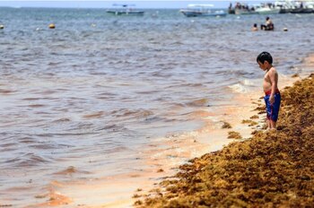 Una vista de Puerto Morelos
