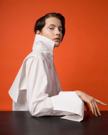 “NO CORPA” el proyecto, por