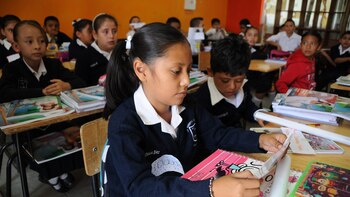 El programa entregará 330 pesos