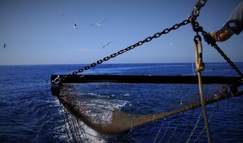 Arte de marisqueo de la