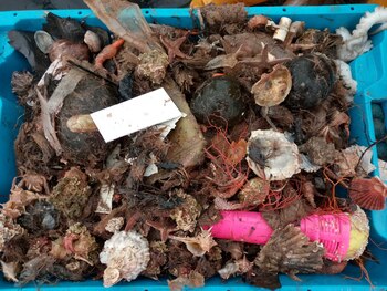 Una de las cajas repletas