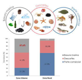 Comparación de los porcentajes de