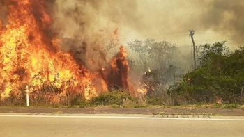Incendio en Santa Cruz
