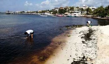 La Marina se encarga de