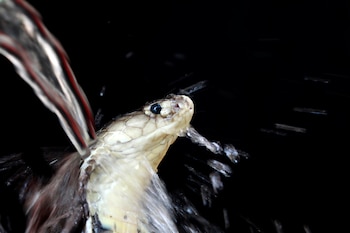 Existen tratamientos muy eficaces para