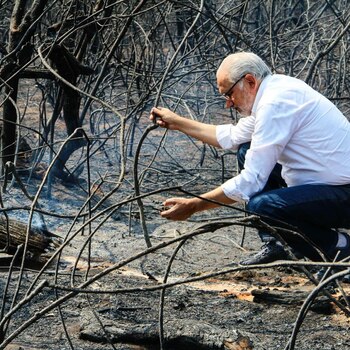 El candidato presidencial por CC, Carlos Mesa, en la zona de los incendios, a comienzos de esta semana