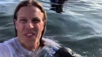 Según el piloto, estuvieron más