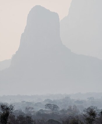 Una de las áreas devastadas