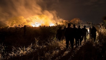 Los incendios ya arrasaron casi