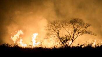 Ambientalistas y grupos indígenas han