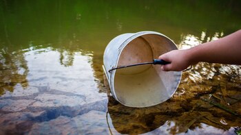 La problemática del acceso al