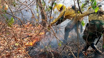Los incendios en el Amazonas