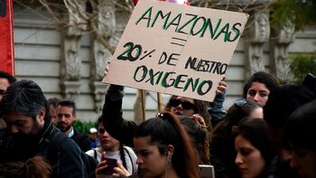 (Foto: Nicolás Stulberg)