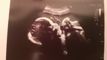 Ushuaia nacerá a mediados de