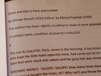 Una versión pirata de Sin