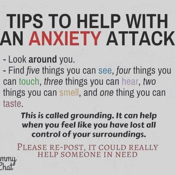 La publicación de BIeber