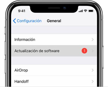 Los expertos recomendaron actualizar el