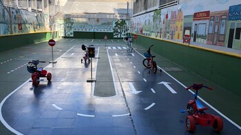 La educación y la actividad