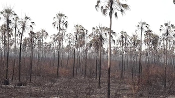 Más de un millón de