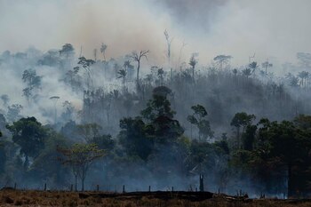 El fuego consume la selva amazónica en Altamira, Brasil, el martes 27 de agosto de 2019. Los incendios en la Amazonía brasileña han provocado una protesta internacional por la preservación de la selva tropical más grande del mundo. (Foto AP / Leo Correa)