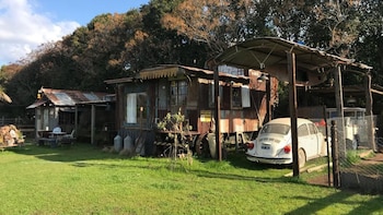 Amante de lo viejo, el