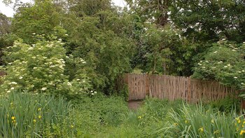 El pedazo de terreno en