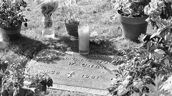 Flores en las tumba de