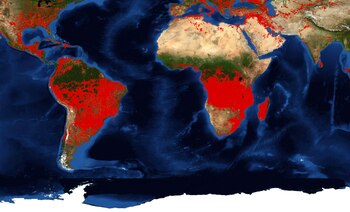Incendios activos en el mundo