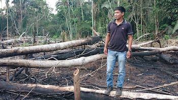 Boatuto, el guía de Infobae,