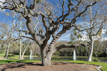 Neverland Ranch se renombró como Sycamore Valley Ranch y se puso en el mercado por USD 100 millones en 2015. Su nombre hace honor a las ondulantes colinas, los majestuosos árboles de sicómoro, los magníficos robles y los terrenos por los que el Valle de Santa Ynez es conocido