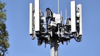 Se espera que la red