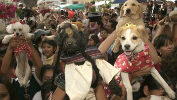 El día San Ramón Nonato