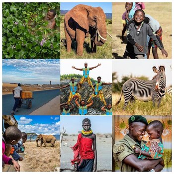 La imagen que compartieron los duques de Sussex en Instagram con motivo de su visita a África