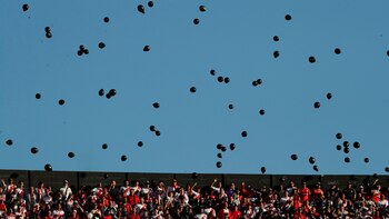 Más de la suelta de