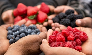 La empresa que gestiona el