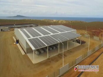 Esta es la primera planta