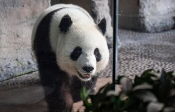 El zoo de Berlín se