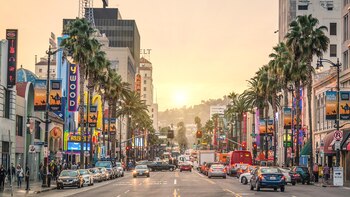 Con un poco de preparación y conciencia, es fácil mantenerse a salvo y disfrutar de todo lo que Los Ángeles tiene para ofrecer. Sin embargo, aunque la ciudad es segura en general, posee barrios extremadamente peligrosos