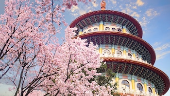 Taipei es la capital de Taiwán. Es una ciudad urbana segura y moderna con raíces japonesas, mercados concurridos y estructuras contemporáneas. La amenaza del terrorismo nacional en Taiwán es casi inexistente.