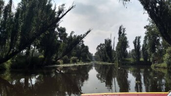 Los canales de Xochimilco resultan