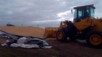 (Gentileza: lapalabradelobos)