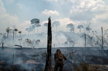 Incendios en el Amazonas (AP Photo/Leo