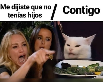 El meme de la chica